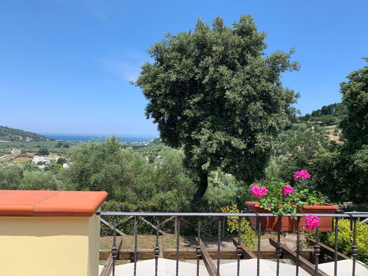 Parco Dei Limoni Pension Peschici Buitenkant foto