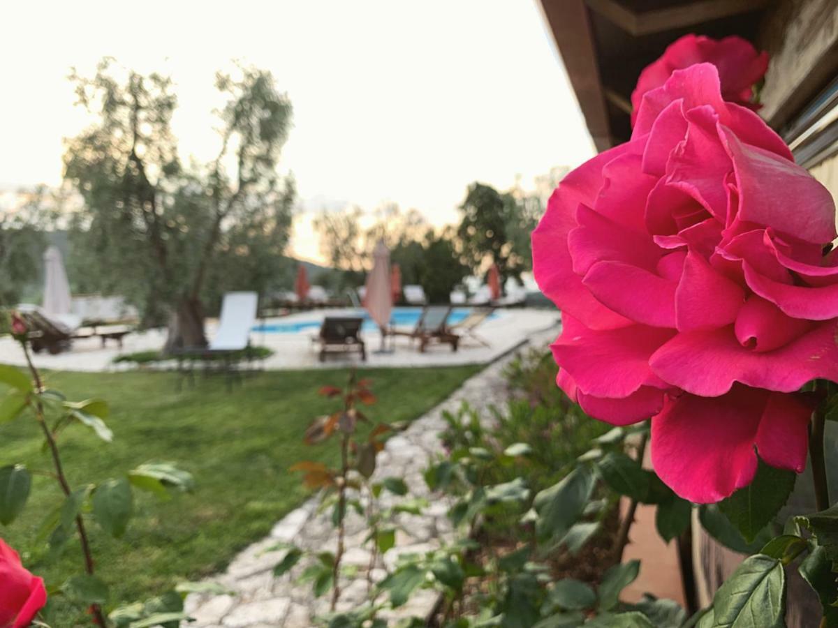 Parco Dei Limoni Pension Peschici Buitenkant foto